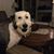 Samantha Brown Lundblad's profile image