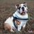 Amanda Davis Rybka's profile image