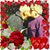 Kathy Wilson Phillips's profile image