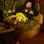 Maggie Ellen Athey's profile image