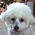 Cathy Ann Hoover's profile image