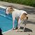 Mary Anne L Sherry's profile image