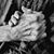 Karen D. McConnico's profile image