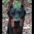 Tony Kasprzak's profile image