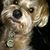 Justin Whatley's profile image
