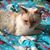 Kari Willis Kerns's profile image