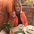 Carol J. Piercy's profile image
