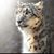 Shukria Sayeq's profile image