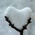Carol Bragg's profile image