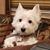 Kathy Parker Cheatham's profile image