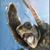 Scott Folts's profile image