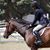 Linda Levy's profile image