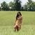 Audra Crews's profile image