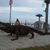 Judi Philips Rose's profile image