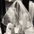 Whitney Conover's profile image