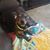Mary Anders's profile image