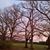 Heather Lee Watts's profile image