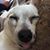 John-Doreen Moore's profile image