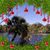 Lynne Carlsen's profile image