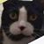 Andrew Wesley's profile image