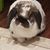 Kristine Cam Fusco's profile image