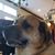 Kathie Stockman's profile image