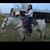 Norma Aguirre's profile image