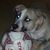LouAnn Cooper Nagle's profile image