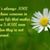 Didda Thomas's profile image