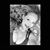 Jodi Leigh Pavlica Izzo's profile image
