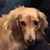 Winnie Mills's profile image