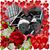 Kimberly Ann Rimmer's profile image