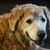 John Juroff's profile image