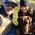Juliana Cichy's profile image