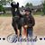 Kim Fernandez's profile image