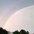 Paula Allmon Goforth's profile image