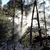 Gina Conaway-Turner's profile image