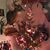 Bonnie Ritenour-Nelson's profile image
