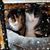 Gail Christmann's profile image