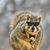 Keith Dayton's profile image