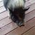 Sue Rosinski's profile image