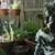 Petal Joseph-Seale's profile image