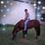 Lisa Rogers's profile image