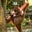 Gentry Pierce's profile image