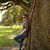 Mary Muratore's profile image