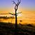 Diane Jones Stith's profile image