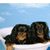 Deborah Owens's profile image
