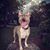 Mike Soule's profile image