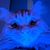 Shilo Mulkin's profile image