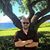 Jason Johnson's profile image
